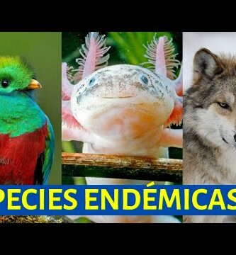 Descubre la biodiversidad con nuestro cartel de especies endémicas