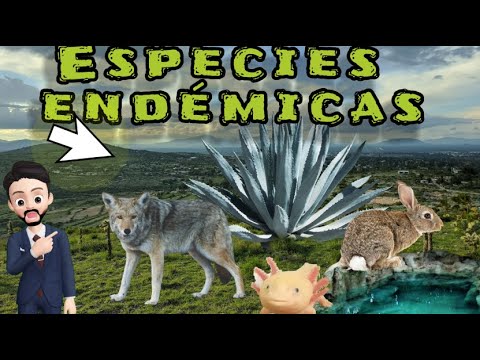 Lámina de especies endémicas de México: descubre la diversidad de nuestra fauna